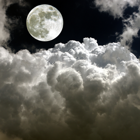 Découvrez la Fleur de CBD Moon Rock : Un Voyage Vers la Sérénité et le Bien-Être