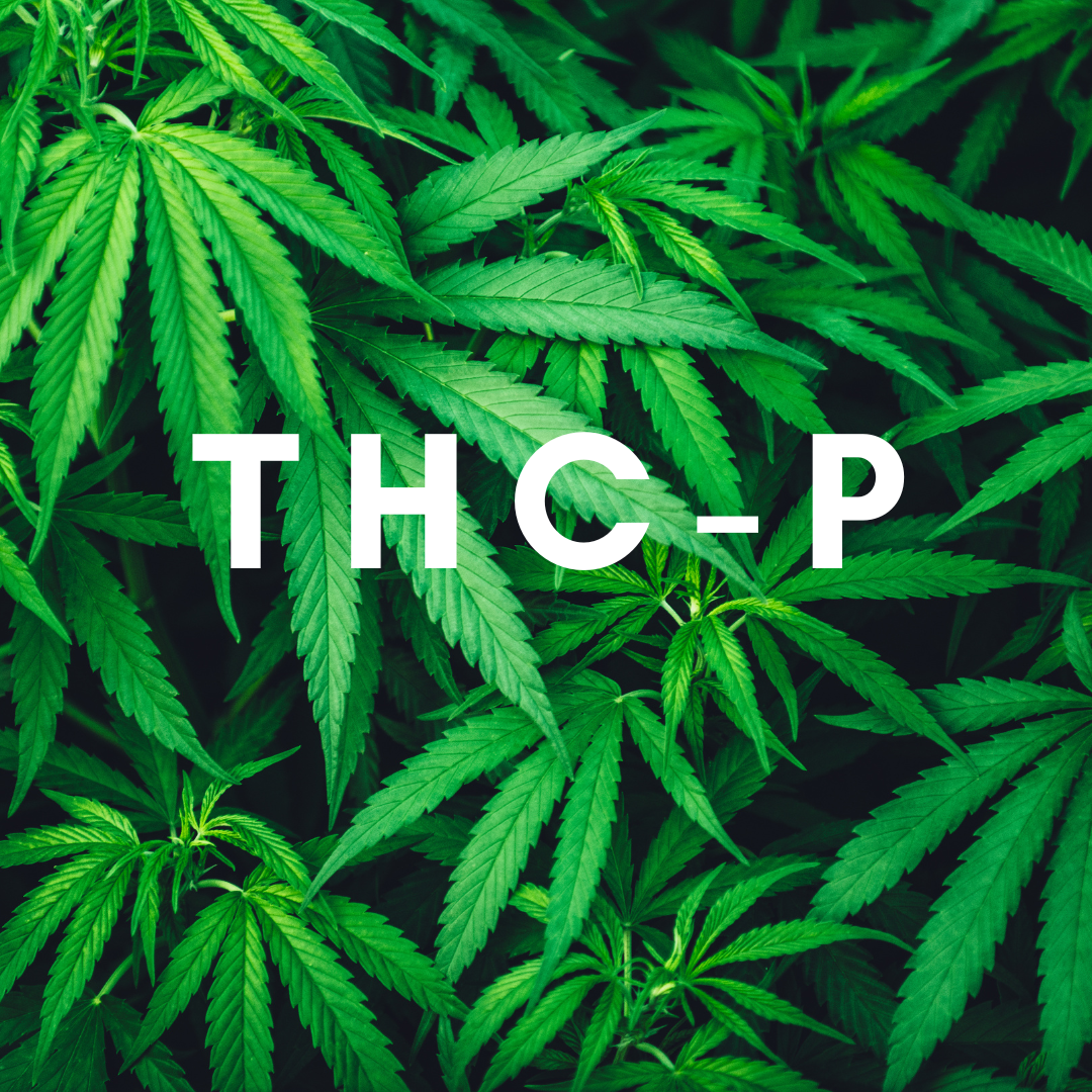THCP | THC-P | Tétrahydrocannabiphorol