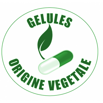 Pré & Pro-biotiques | FERMENTS LACTIQUES 120 gélules végétales