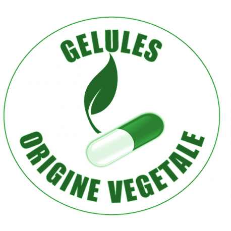 Vitamines et minéraux | ZMAG 90 gélules végétales